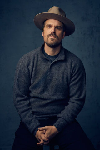 Charming Presence: The Versatile David Harbour