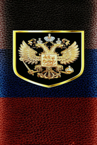 Symbol of Valor: The Combat National Badge 🛡️🇷🇺
