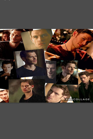 The Charismatic Legacy of Niklaus