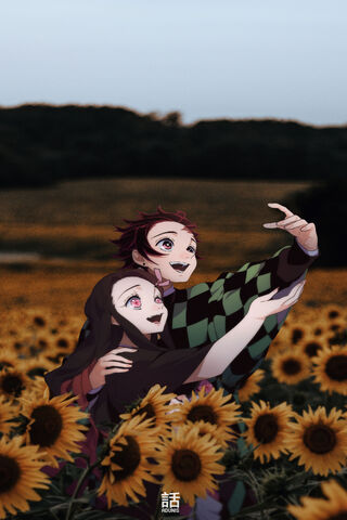 Sunflower Dreams: Tanjiro and Nezuko's Bond 🌻✨