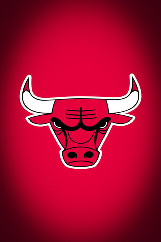 The Fierce Spirit of the Bulls 🐂🔥