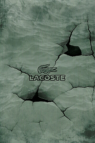 Crumpled Elegance: The Lacoste Aesthetic