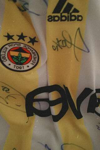 Fenerbahçe: A Legacy of Passion and Pride ⚽️💛💙