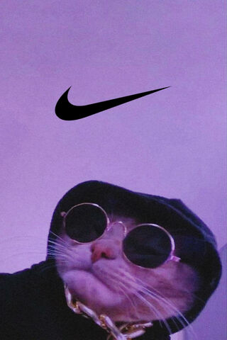 Purr-fectly Stylish: Th..