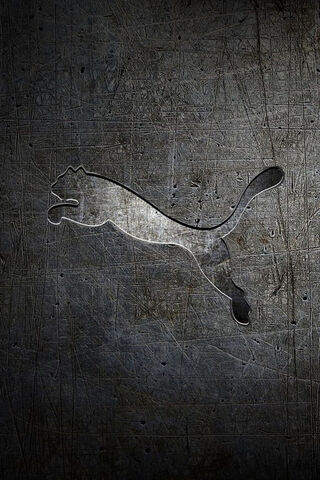 Puma: The Spirit of Speed and Style 🐾