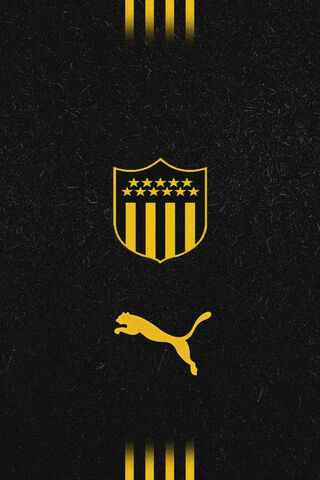 Peñarol Puma: A Symbol of Pride and Passion ⚽️🐾