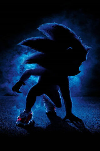 Sonic Bom: The Speedster Emerges! ⚡️