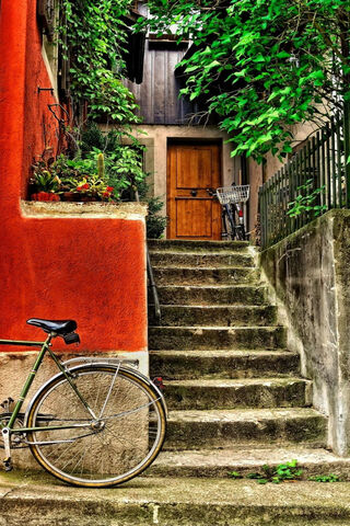 Charming Pathways: A Journey Upward 🚲🌿