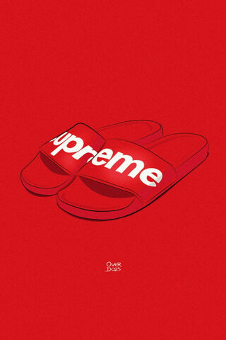 Supreme Flip Flops