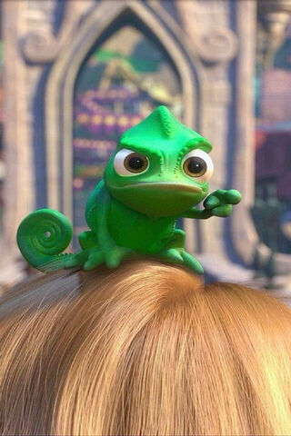 Pascal