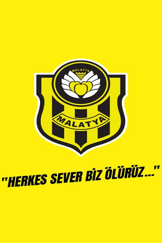 Yeni Malatyaspor: The Heart of Malatya ⚽💛🖤