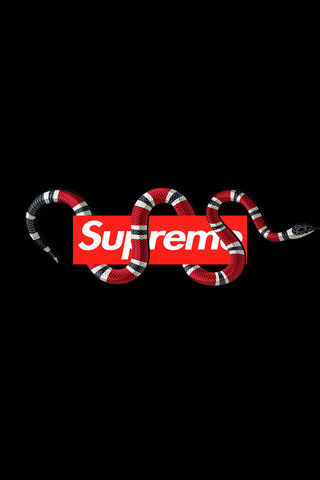 Gucci Supreme