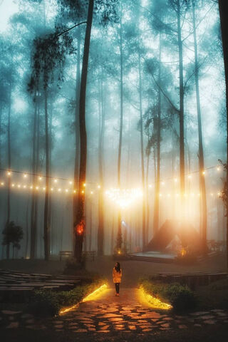 Enchanted Forest Glow ✨🌲