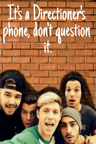 The Ultimate Directioner’s Phone 📱✨