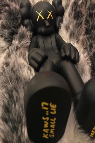 Kaws: The Iconic Companion