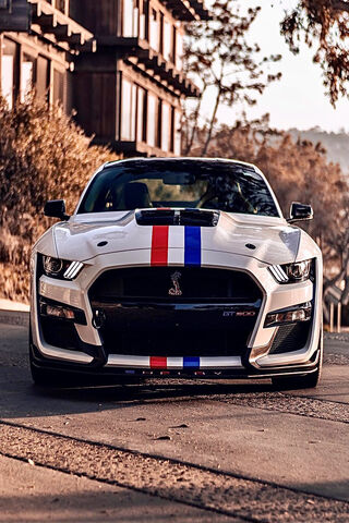 Shelby GT500