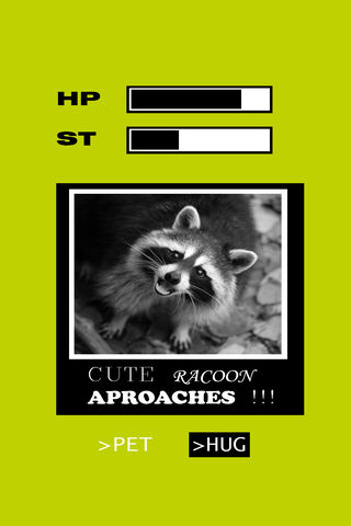 Cute Racoon Aproach