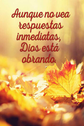 Trusting the Process: God's Work in Progress 🌟🍂