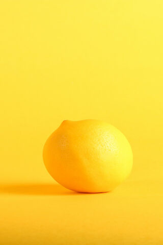 Zesty Delight: The Bright Lemon 🍋