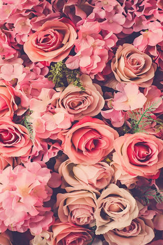 Blossoms of Bliss 🌸✨