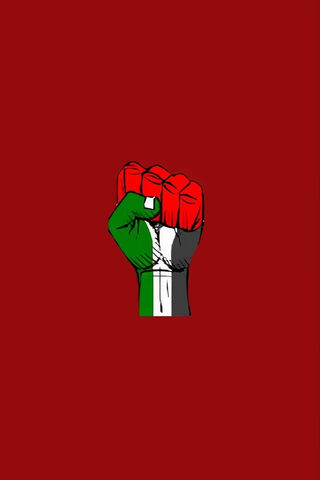 Unity in Strength: The Palestine Red Flag