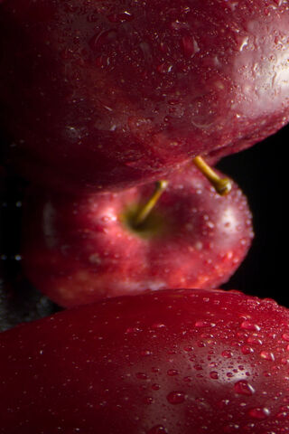 Juicy Red Delights: The Allure of Apples 🍏🍎