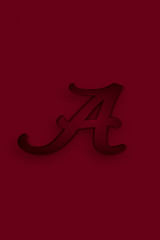 Elegant Script: The Art of Lettering ✍️✨