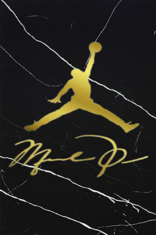 Golden Legacy: The Air Jordan Icon