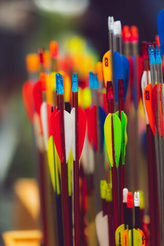 Colorful Quiver: The Art of Archery 🎯