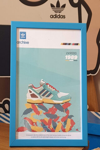 Retro Vibes: The Adidas ZX9000