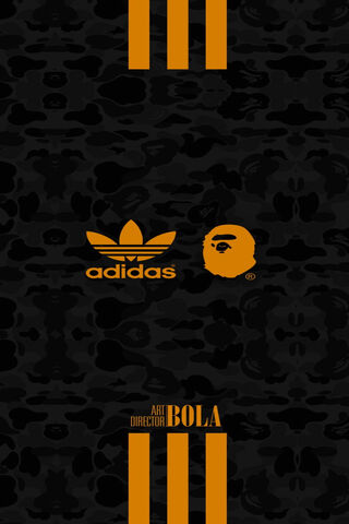 Bape X Adidas