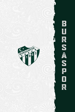 Bursaspor: The Heart of Turkish Football ⚽️💚