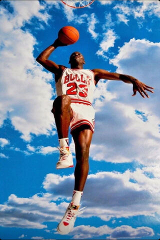 Bulls 23 Jordan