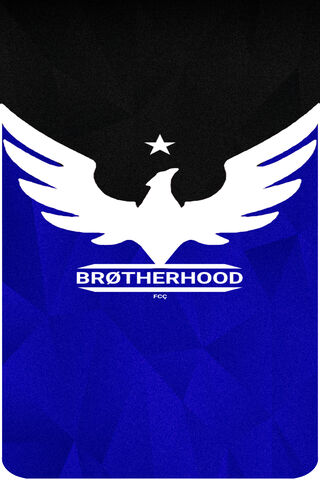 Unity in Flight: The Brotherhood Spirit