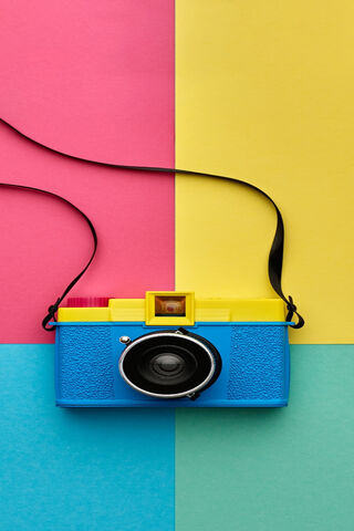Vibrant Snapshots: A Playful Perspective