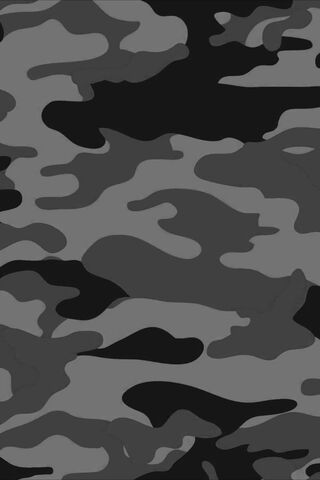 Urban Stealth: The Camo Supreme Look