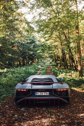 Untamed Power: The Wild Ride