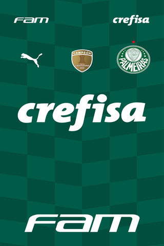 Camisa Palmeiras 2021