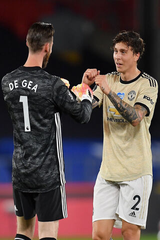 United We Stand: De Gea & Lindelöf's Dynamic Duo ⚽🤝