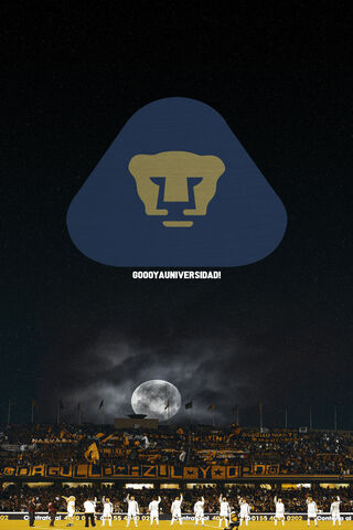 Pumas Under the Moonlig..