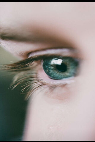 Glimpse into the Soul: The Eye's Story 👁️✨