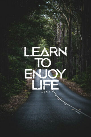 Embrace the Journey 🌳✨