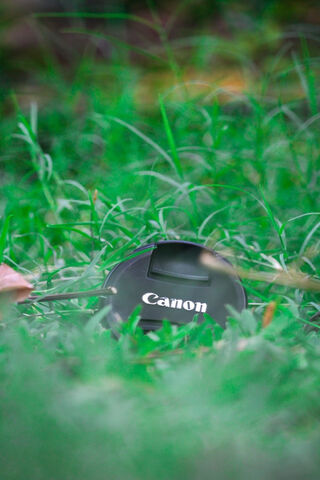 Nature's Lens: The Green Canon Camera