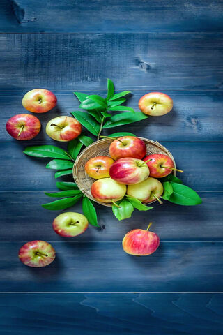 Harvest Delight: Glc 77540 Apples 🍏🍎