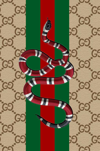 グッチの蛇：スタイルの象徴🐍✨ 壁紙 - PHONEKYから携帯端末に