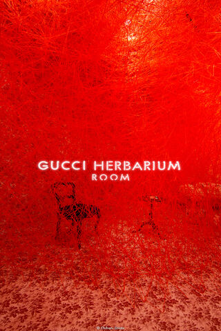 A Vibrant Escape: The Gucci Herbarium Experience 🌿✨