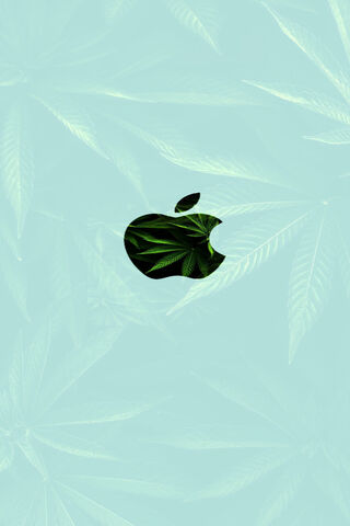 Nature Meets Technology: The iPhone Xd