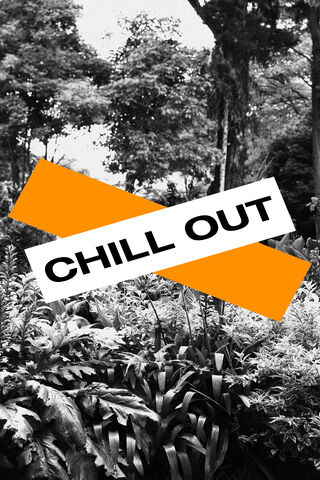 Nature's Serenity: A Moment to Unwind 🌿✨