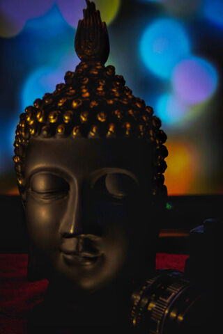 LENSBUG: A Serene Focus on Tranquility 🧘 📸