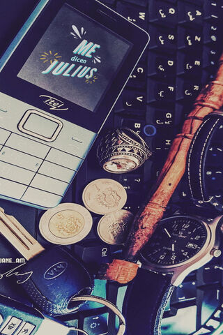 Echoes of Julius: A Nostalgic Collection